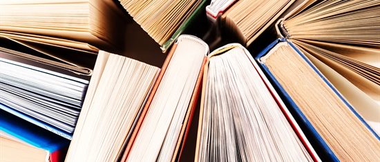 Case Study: Homegrown Book Bundling